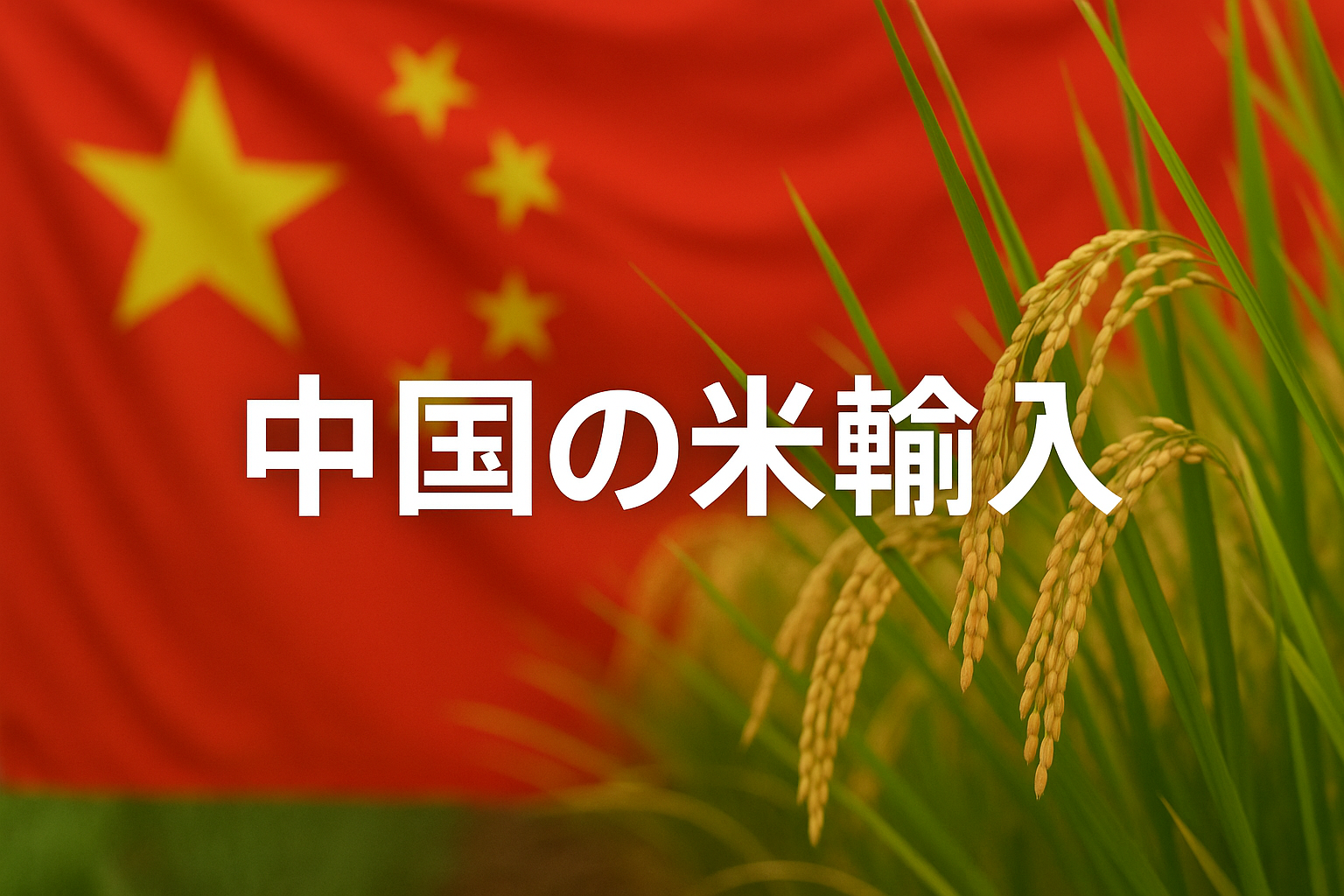 【2025年最新版】中国の米輸入の最新動向と日本への影響とは